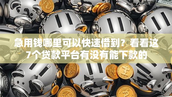 急用钱哪里可以快速借到?看看这7个贷款平台有没有能下款的 急用钱哪里可以快速借到?看看这7个贷款平台有没有能下款的