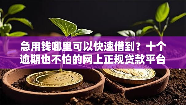 急用钱哪里可以快速借到？十个逾期也不怕的网上正规贷款平台