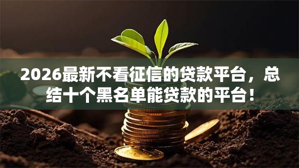 2026最新不看征信的贷款平台,总结十个黑名单能贷款的平台! 2026最新不看征信的贷款平台,总结十个黑名单能贷款的平台!