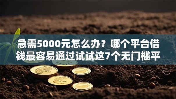 急需5000元怎么办?哪个平台借钱最容易通过试试这7个无门槛平台 急需5000元怎么办?哪个平台借钱最容易通过试试这7个无门槛平台