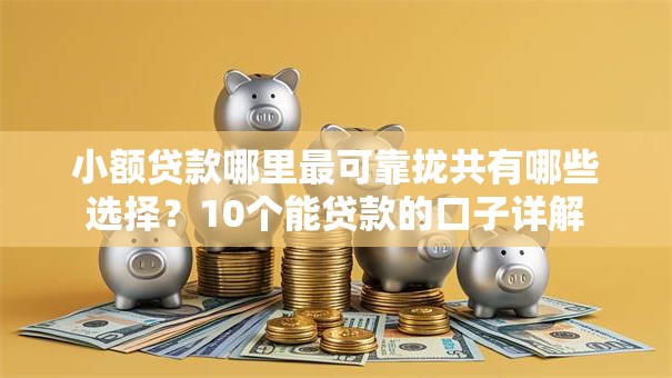 小额贷款哪里最可靠拢共有哪些选择?10个能贷款的口子详解 小额贷款哪里最可靠拢共有哪些选择?10个能贷款的口子详解