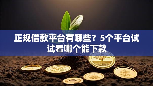 正规借款平台有哪些?5个平台试试看哪个能下款 正规借款平台有哪些?5个平台试试看哪个能下款