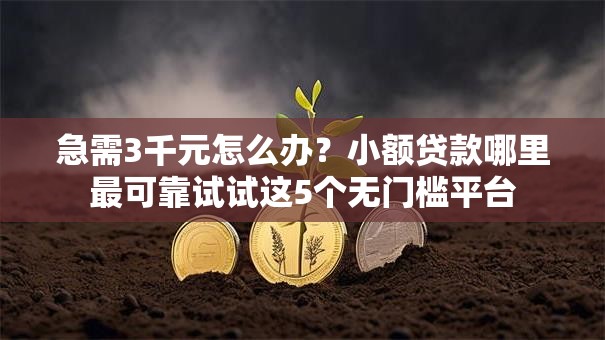急需3千元怎么办?小额贷款哪里最可靠试试这5个无门槛平台 急需3千元怎么办?小额贷款哪里最可靠试试这5个无门槛平台
