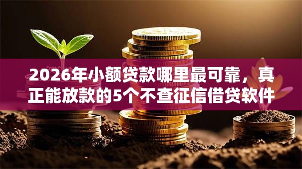 2026年小额贷款哪里最可靠，真正能放款的5个不查征信借贷软件推荐