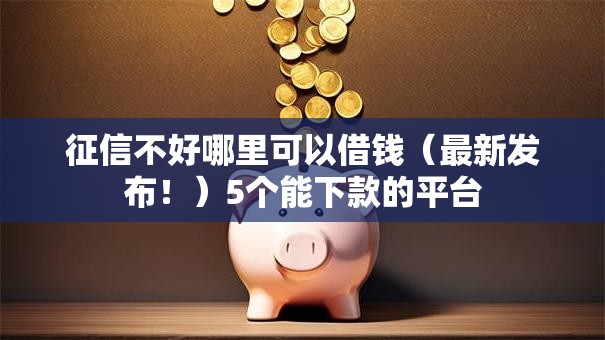 征信不好哪里可以借钱（最新发布！）5个能下款的平台