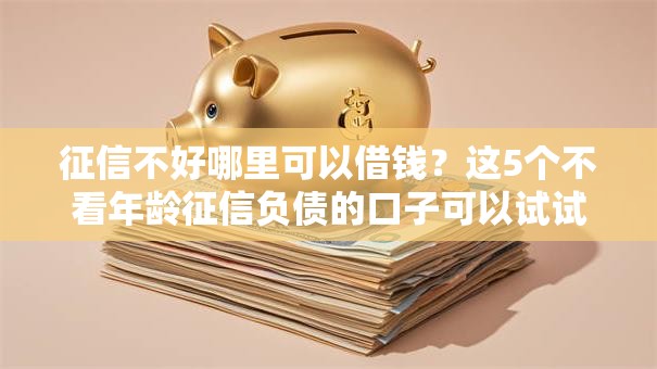 征信不好哪里可以借钱?这5个不看年龄征信负债的口子可以试试 征信不好哪里可以借钱?这5个不看年龄征信负债的口子可以试试