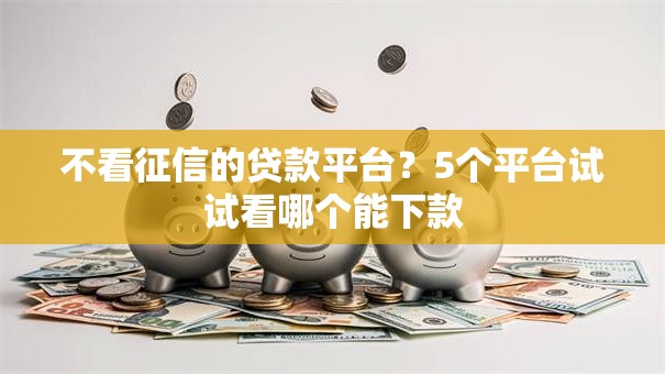 不看征信的贷款平台？5个平台试试看哪个能下款