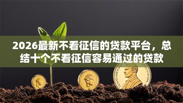 2026最新不看征信的贷款平台,总结十个不看征信容易通过的贷款平台! 2026最新不看征信的贷款平台,总结十个不看征信容易通过的贷款平台!