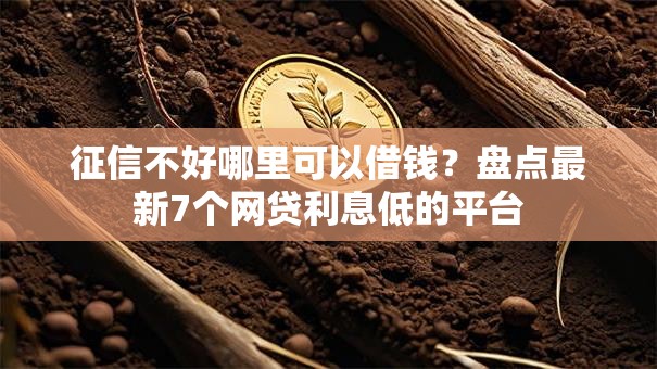 征信不好哪里可以借钱？盘点最新7个网贷利息低的平台