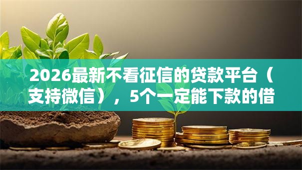 2026最新不看征信的贷款平台（支持微信），5个一定能下款的借钱平台无私分享