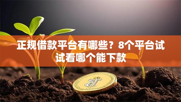 正规借款平台有哪些?8个平台试试看哪个能下款 正规借款平台有哪些?8个平台试试看哪个能下款