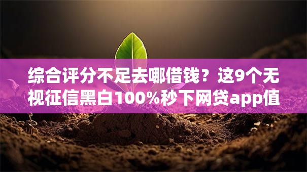 综合评分不足去哪借钱？这9个无视征信黑白100%秒下网贷app值得一试