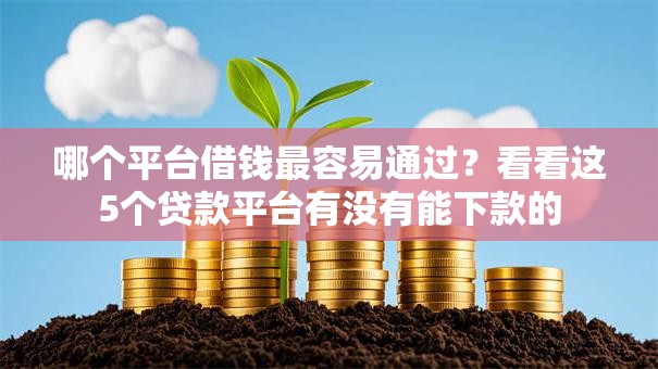 哪个平台借钱最容易通过?看看这5个贷款平台有没有能下款的 哪个平台借钱最容易通过?看看这5个贷款平台有没有能下款的