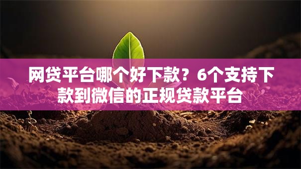 网贷平台哪个好下款?6个支持下款到微信的正规贷款平台 网贷平台哪个好下款?6个支持下款到微信的正规贷款平台