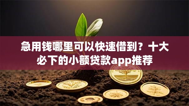 急用钱哪里可以快速借到？十大必下的小额贷款app推荐