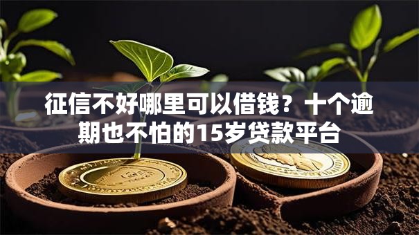 征信不好哪里可以借钱？十个逾期也不怕的15岁贷款平台