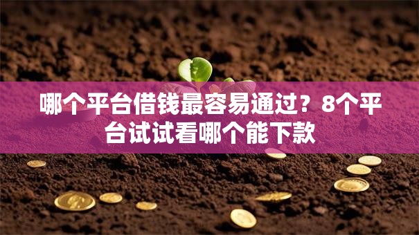 哪个平台借钱最容易通过？8个平台试试看哪个能下款