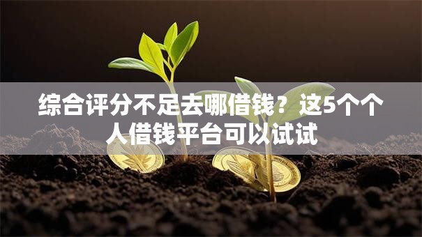 综合评分不足去哪借钱？这5个个人借钱平台可以试试