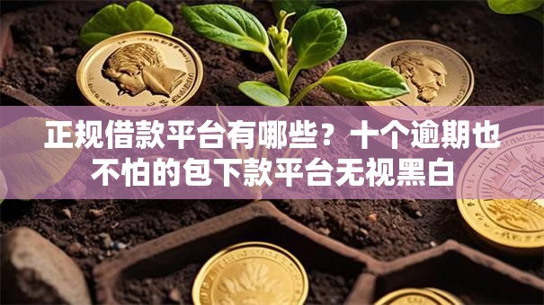 正规借款平台有哪些?十个逾期也不怕的包下款平台无视黑白 正规借款平台有哪些?十个逾期也不怕的包下款平台无视黑白