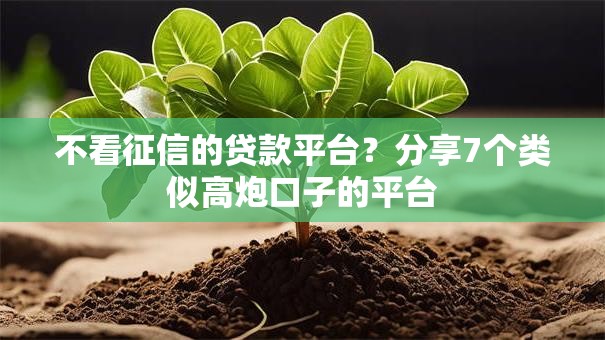 不看征信的贷款平台?分享7个类似高炮口子的平台 不看征信的贷款平台?分享7个类似高炮口子的平台
