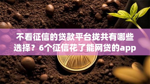 不看征信的贷款平台拢共有哪些选择?6个征信花了能网贷的app详解 不看征信的贷款平台拢共有哪些选择?6个征信花了能网贷的app详解