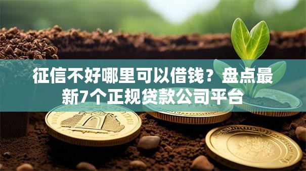 征信不好哪里可以借钱？盘点最新7个正规贷款公司平台