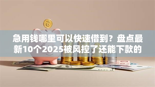 急用钱哪里可以快速借到？盘点最新10个2025被风控了还能下款的平台