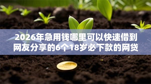 2026年急用钱哪里可以快速借到网友分享的6个18岁必下款的网贷软件我觉得不错! 2026年急用钱哪里可以快速借到网友分享的6个18岁必下款的网贷软件我觉得不错!