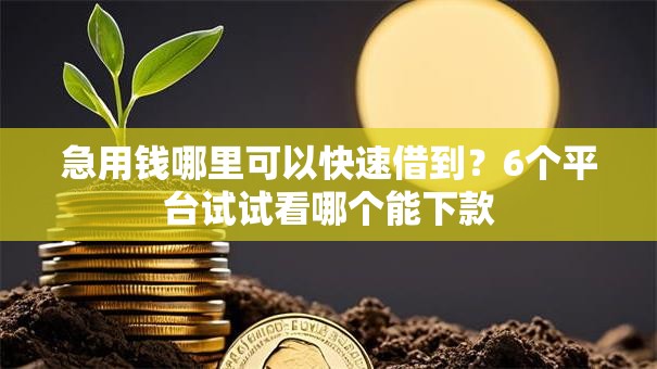 急用钱哪里可以快速借到？6个平台试试看哪个能下款