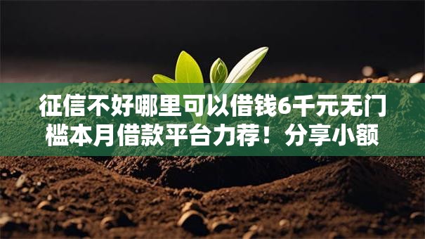 征信不好哪里可以借钱6千元无门槛本月借款平台力荐！分享小额网贷口子6千元无门槛借款