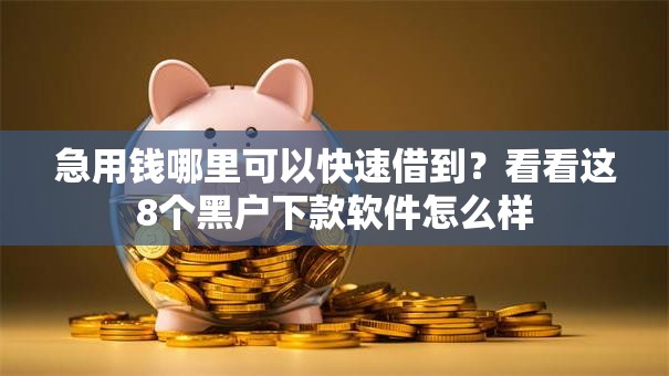 急用钱哪里可以快速借到?看看这8个黑户下款软件怎么样 急用钱哪里可以快速借到?看看这8个黑户下款软件怎么样