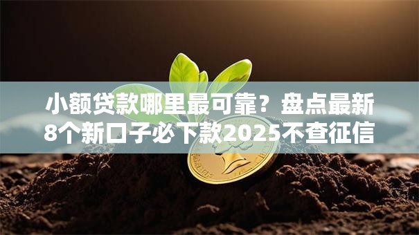 小额贷款哪里最可靠？盘点最新8个新口子必下款2025不查征信