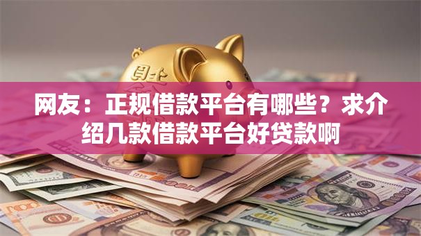 网友：正规借款平台有哪些？求介绍几款借款平台好贷款啊