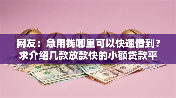 网友:急用钱哪里可以快速借到?求介绍几款放款快的小额贷款平台 网友:急用钱哪里可以快速借到?求介绍几款放款快的小额贷款平台