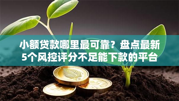 小额贷款哪里最可靠?盘点最新5个风控评分不足能下款的平台 小额贷款哪里最可靠?盘点最新5个风控评分不足能下款的平台