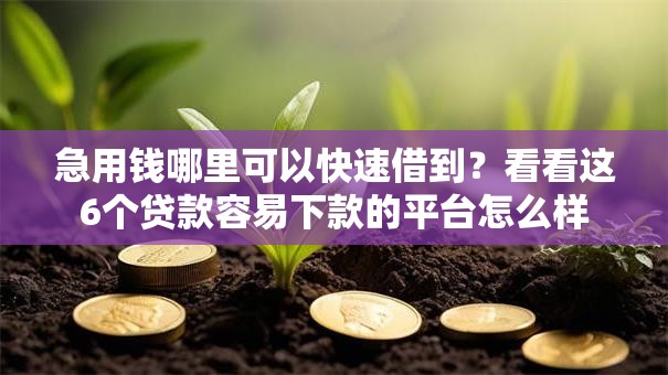 急用钱哪里可以快速借到?看看这6个贷款容易下款的平台怎么样 急用钱哪里可以快速借到?看看这6个贷款容易下款的平台怎么样