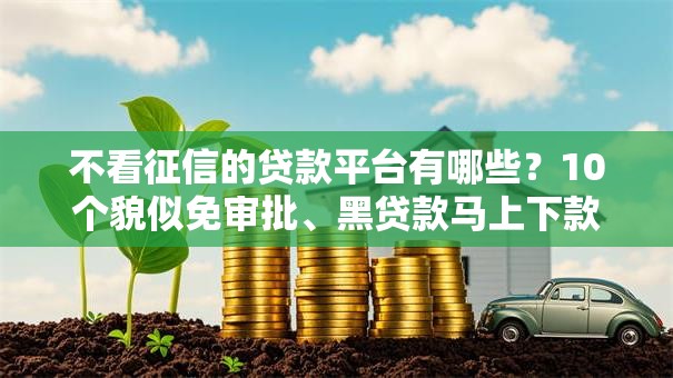 不看征信的贷款平台有哪些?10个貌似免审批、黑贷款马上下款的口子合集 不看征信的贷款平台有哪些?10个貌似免审批、黑贷款马上下款的口子合集