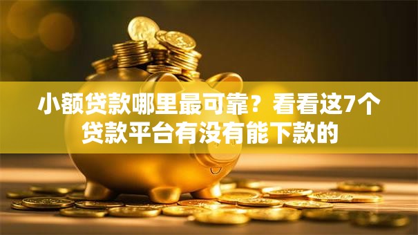 小额贷款哪里最可靠？看看这7个贷款平台有没有能下款的
