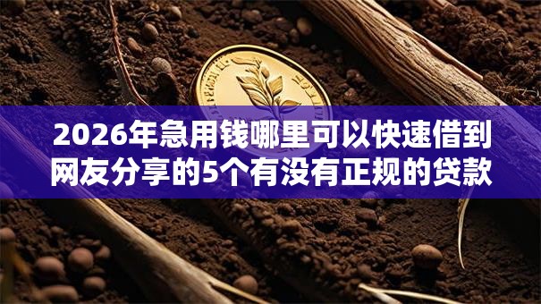 2026年急用钱哪里可以快速借到网友分享的5个有没有正规的贷款平台我觉得不错！