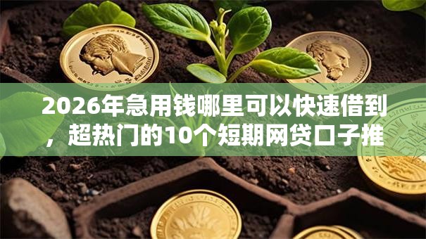 2026年急用钱哪里可以快速借到，超热门的10个短期网贷口子推荐