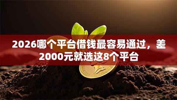 2026哪个平台借钱最容易通过，差2000元就选这8个平台