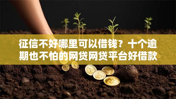 征信不好哪里可以借钱？十个逾期也不怕的网贷网贷平台好借款