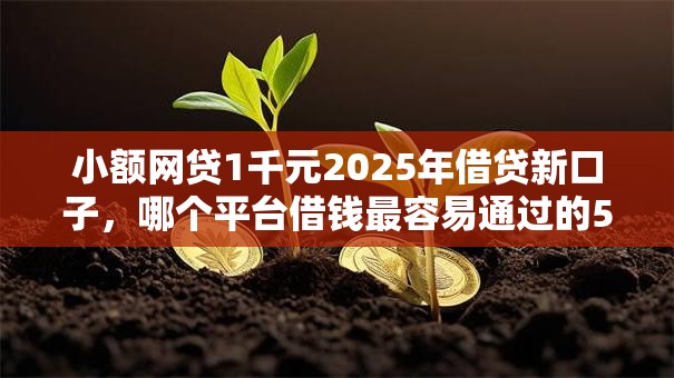 小额网贷1千元2025年借贷新口子,哪个平台借钱最容易通过的5个平台介绍 小额网贷1千元2025年借贷新口子,哪个平台借钱最容易通过的5个平台介绍