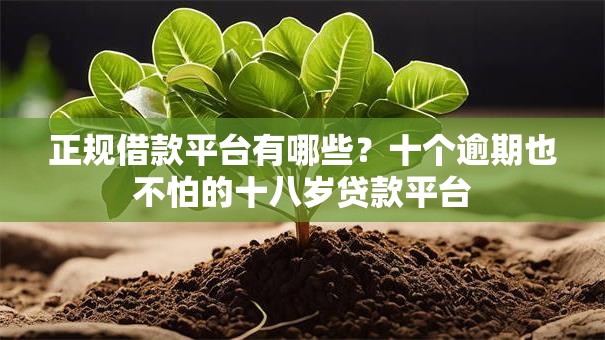 正规借款平台有哪些?十个逾期也不怕的十八岁贷款平台 正规借款平台有哪些?十个逾期也不怕的十八岁贷款平台