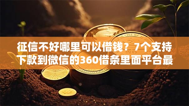 征信不好哪里可以借钱?7个支持下款到微信的360借条里面平台最好 征信不好哪里可以借钱?7个支持下款到微信的360借条里面平台最好