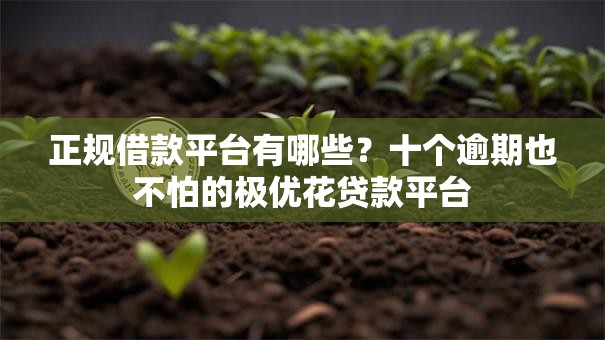 正规借款平台有哪些?十个逾期也不怕的极优花贷款平台 正规借款平台有哪些?十个逾期也不怕的极优花贷款平台