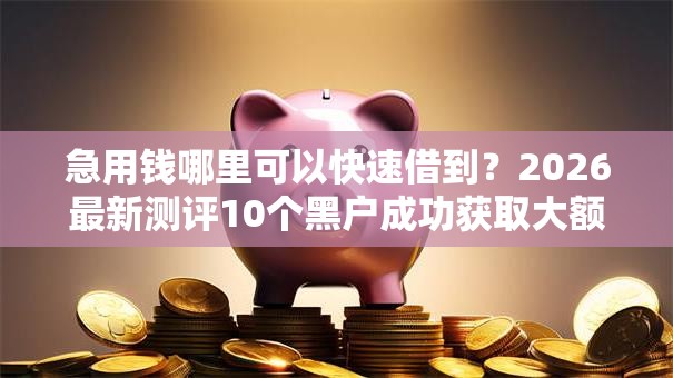 急用钱哪里可以快速借到?2026最新测评10个黑户成功获取大额贷款的口子 急用钱哪里可以快速借到?2026最新测评10个黑户成功获取大额贷款的口子