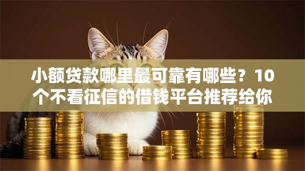 小额贷款哪里最可靠有哪些？10个不看征信的借钱平台推荐给你