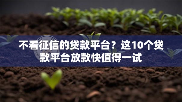 不看征信的贷款平台?这10个贷款平台放款快值得一试 不看征信的贷款平台?这10个贷款平台放款快值得一试