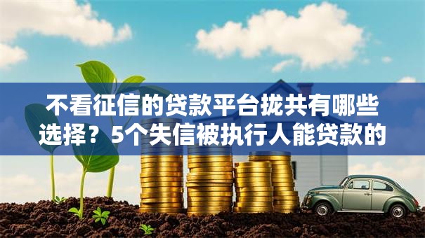 不看征信的贷款平台拢共有哪些选择？5个失信被执行人能贷款的口子详解